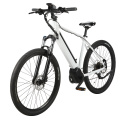 New Style Hidden Battery Suspension Electric Mountain Bicycle